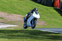 Oulton-Park-20th-March-2020;PJ-Motorsport-Photography-2020;anglesey;brands-hatch;cadwell-park;croft;donington-park;enduro-digital-images;event-digital-images;eventdigitalimages;mallory;no-limits;oulton-park;peter-wileman-photography;racing-digital-images;silverstone;snetterton;trackday-digital-images;trackday-photos;vmcc-banbury-run;welsh-2-day-enduro